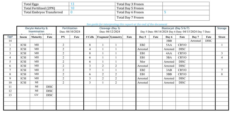 File:IVF Embryo Report.jpg